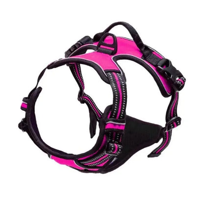 TrailMate Adventure No-Pull Dog Harness & Leash Set