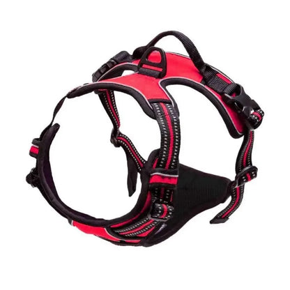 TrailMate Adventure No-Pull Dog Harness & Leash Set
