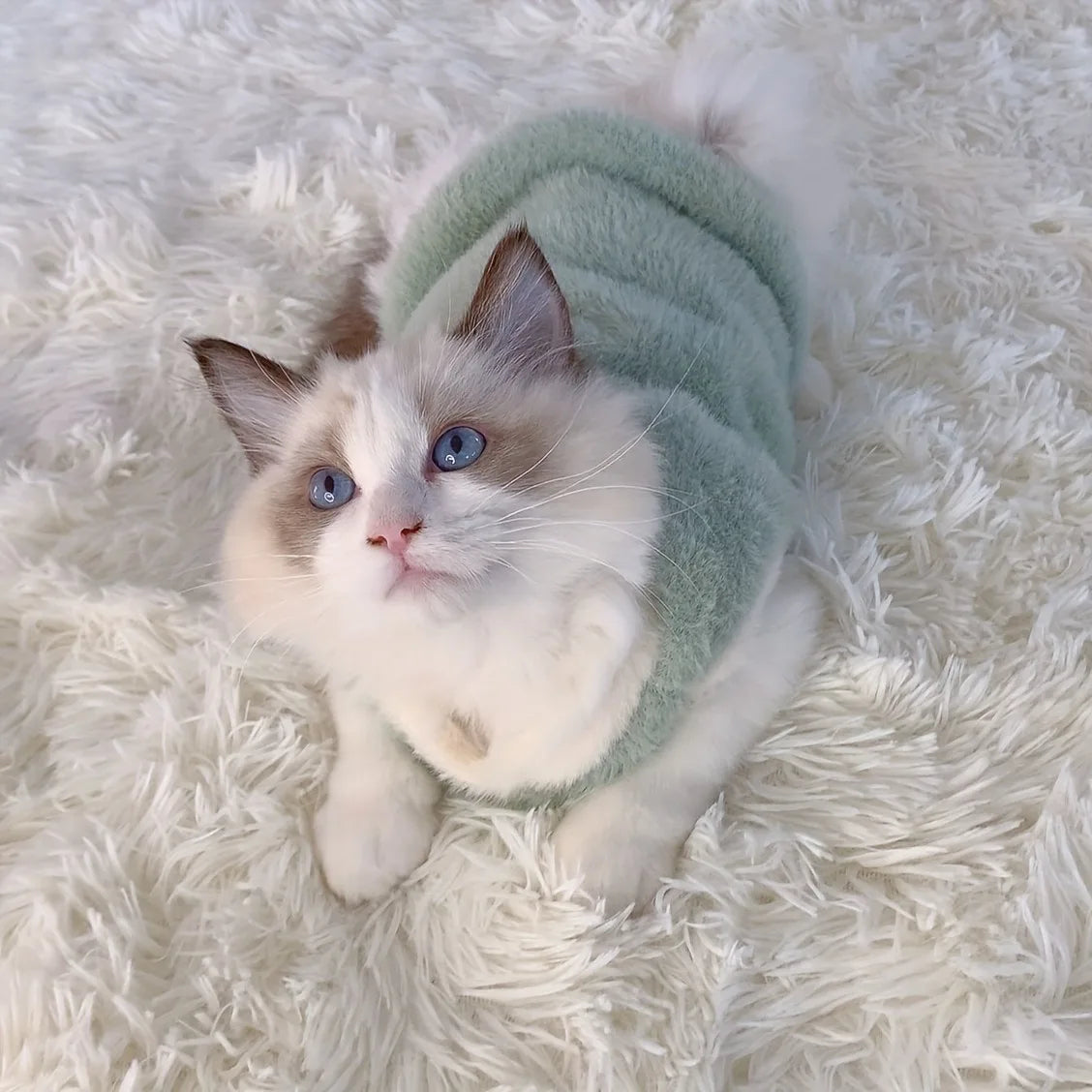Pet Warm Vest Sweater | Cat & Dog Winter Knitwear | XS–XL