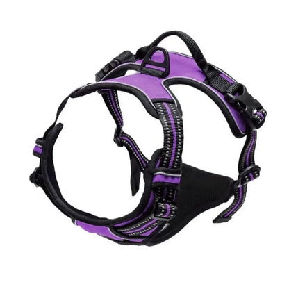 TrailMate Adventure No-Pull Dog Harness & Leash Set
